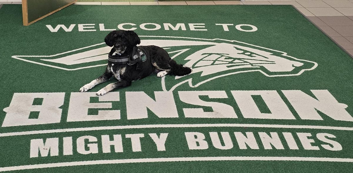Luna Geiger rests after a long day of helping students as an emotional support animal.